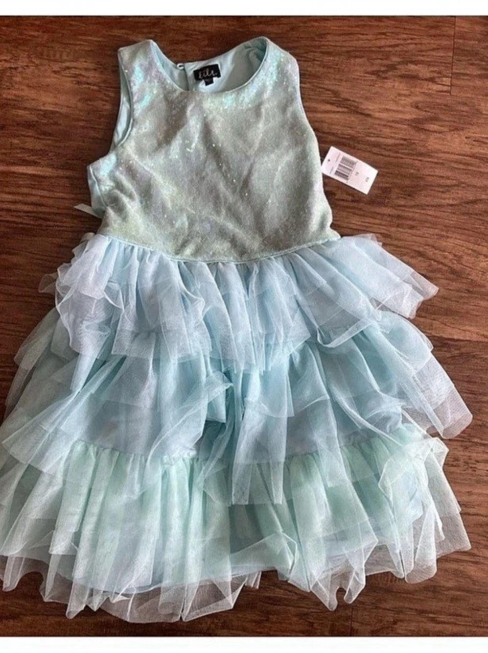 Lily Girls Size 12 Sequin Tulle Dress NWT